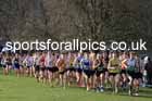 Senior Men, 2024 CAU Inter Counties Cross Country Champs., Wollaton Park, Nottingham. Photo: David T. Hewitson/Sports for All Pics